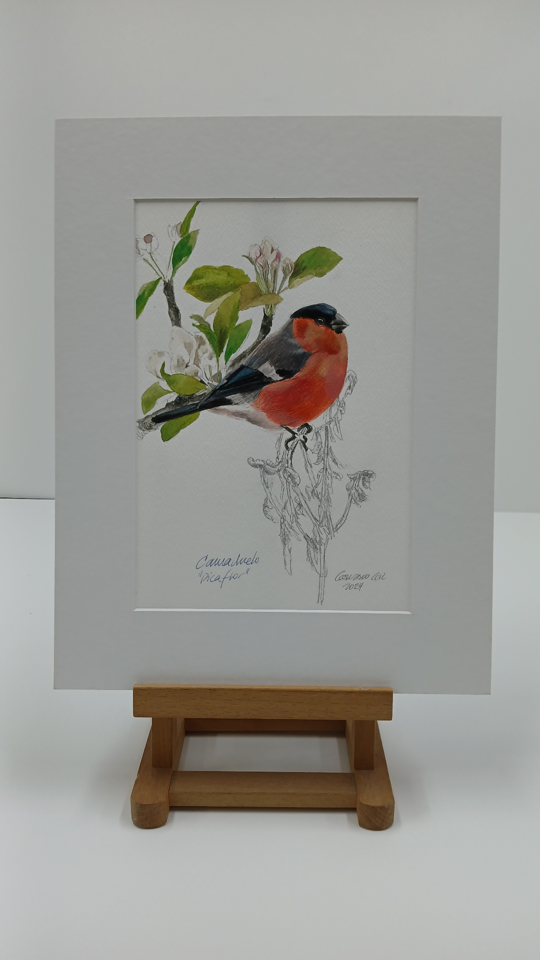 Obra de Gonzalo Gil — Camachuelo