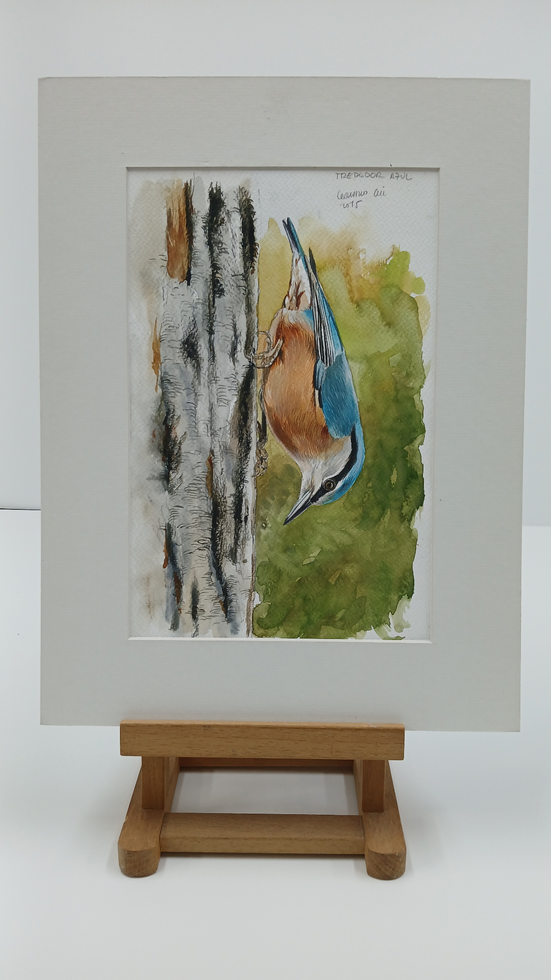 Obra de Gonzalo Gil — Trepador azul