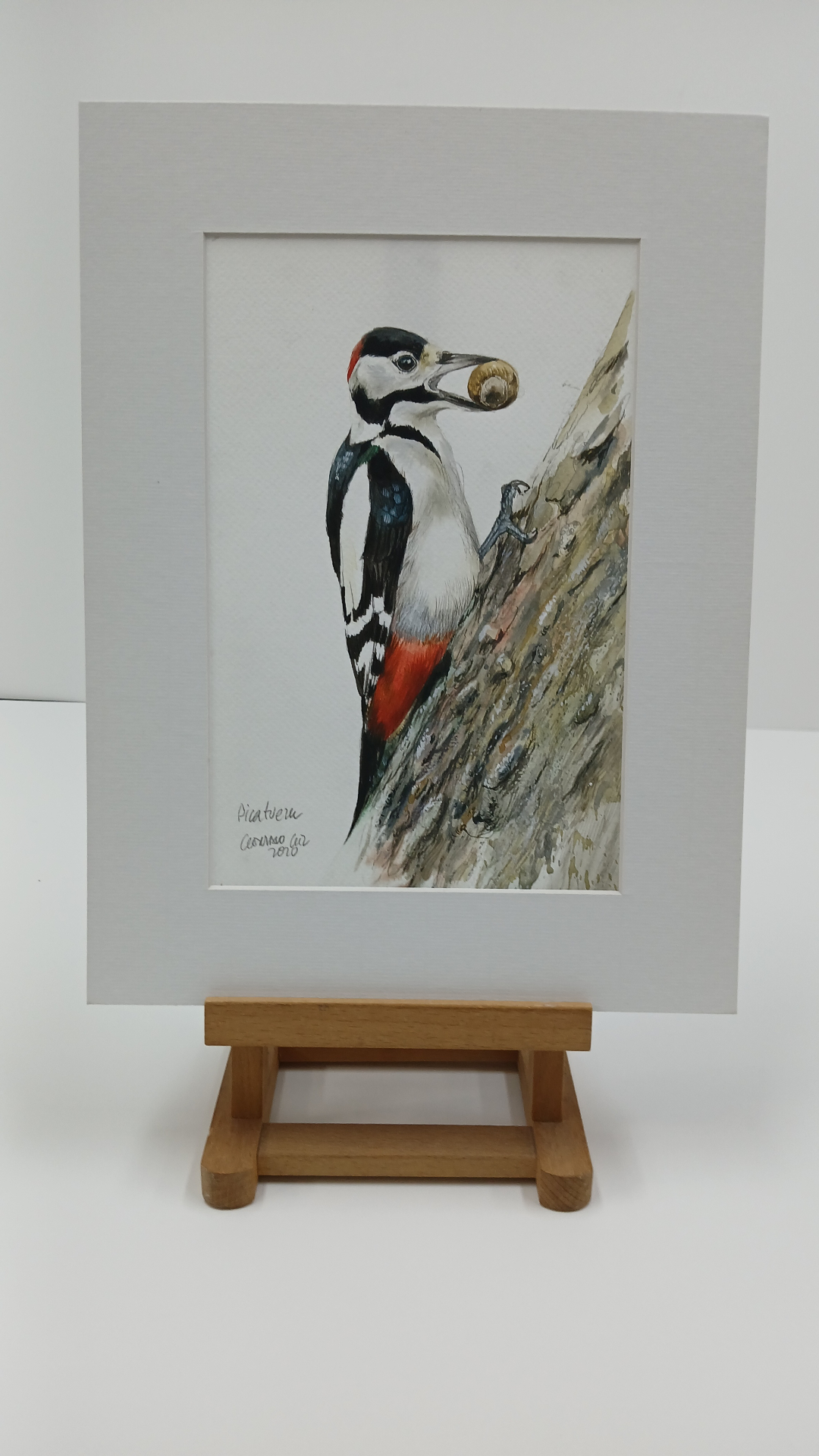 Obra de Gonzalo Gil — Pico picapinos